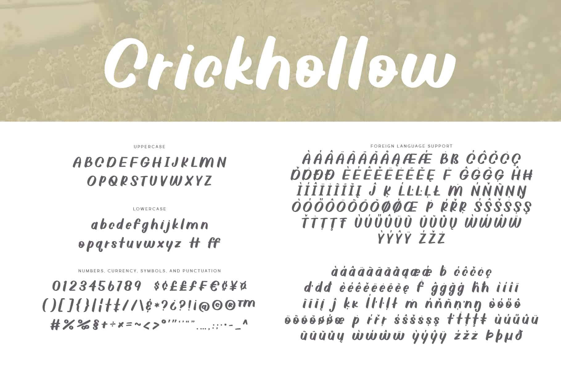 Crickhollow Font Handwritten Brittney Murphy Design