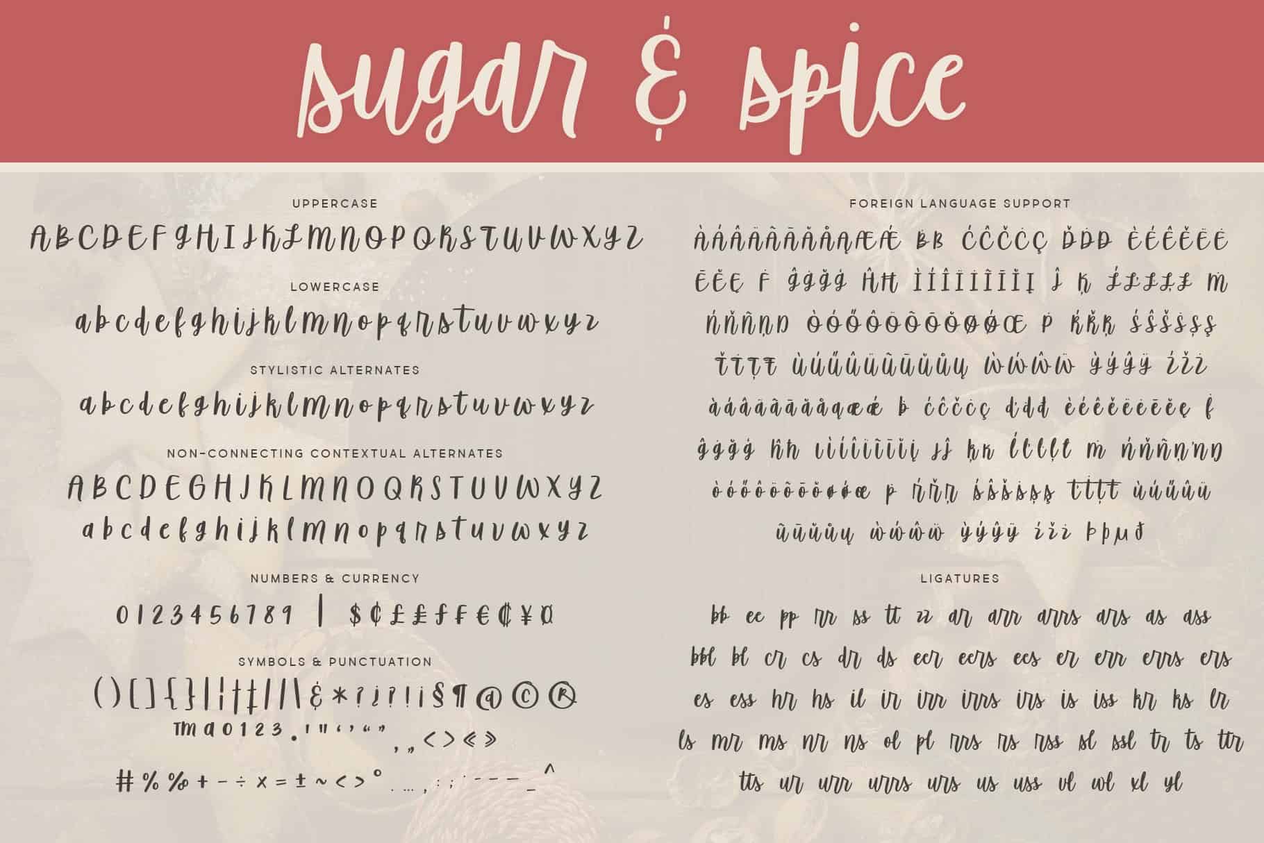 Sugar And Spice Font Script Font Brittney Murphy Design
